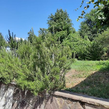 Villa Casa Ferdani Lunigiana à Terrarossa  Extérieur photo