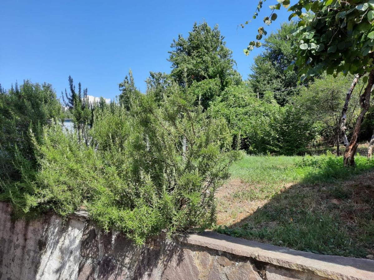 Villa Casa Ferdani Lunigiana à Terrarossa  Extérieur photo